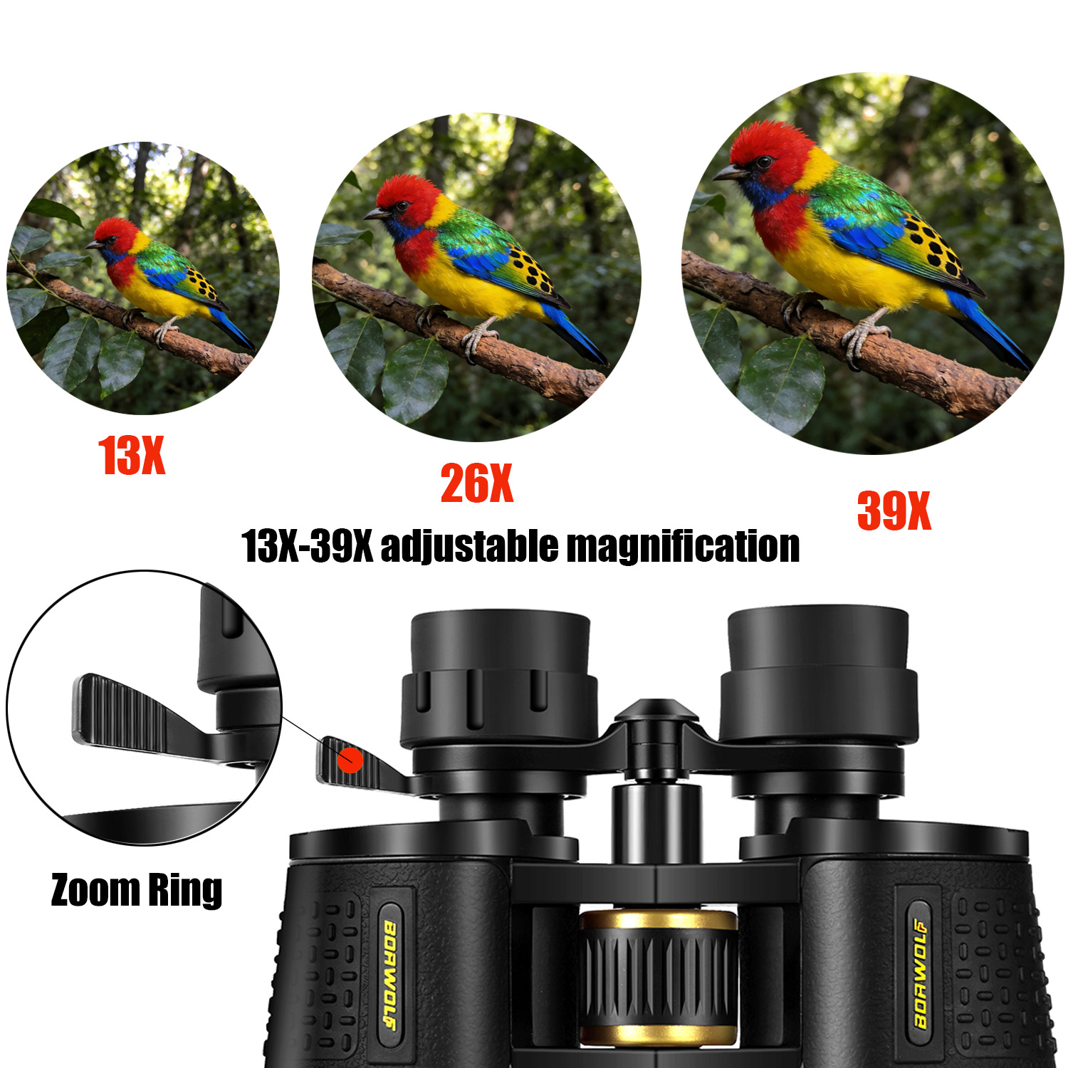Бинокль BORWOLF 13-39X70 ED с  – обзор и цена National Geographic Telescope 70Mm